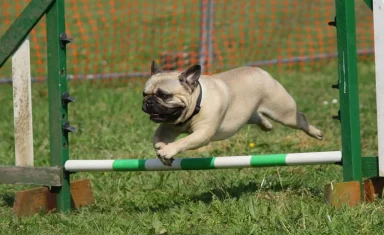 training1_2105686_1280